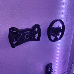 Fanatec clubsport wheel holder